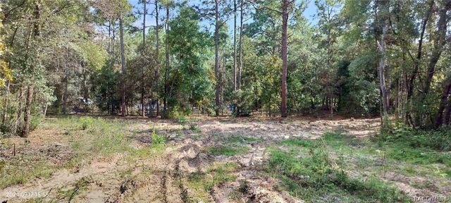 1108 E Van Gogh Court, Hernando, FL 34442