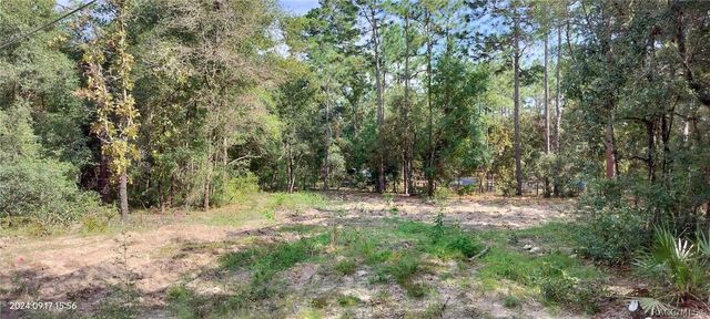 1108 E Van Gogh Court, Hernando, FL 34442