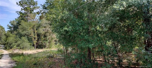 1108 E Van Gogh Court, Hernando, FL 34442