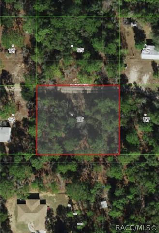 1108 E Van Gogh Court, Hernando, FL 34442