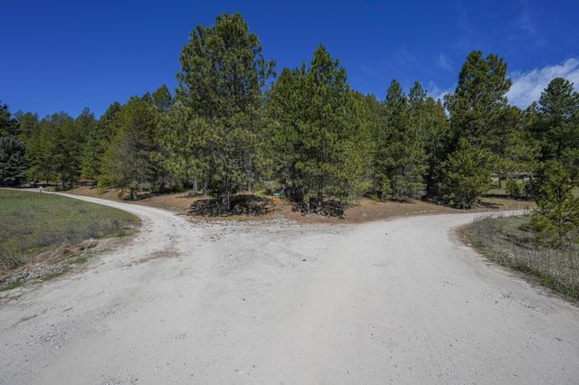 101 Pines Rd, Newport, WA 99156