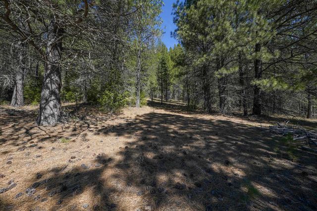 101 Pines Rd, Newport, WA 99156