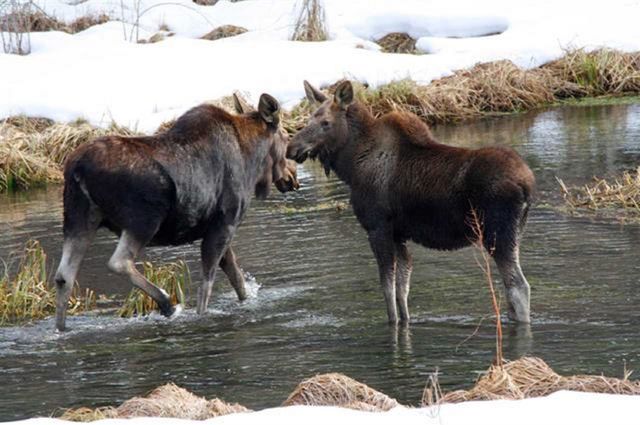 101 Pines Rd, Newport, WA 99156