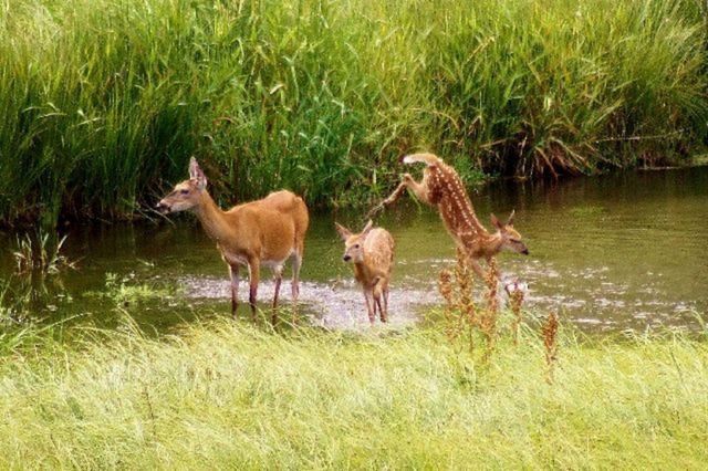 101 Pines Rd, Newport, WA 99156