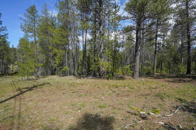 101 Pines Rd, Newport, WA 99156