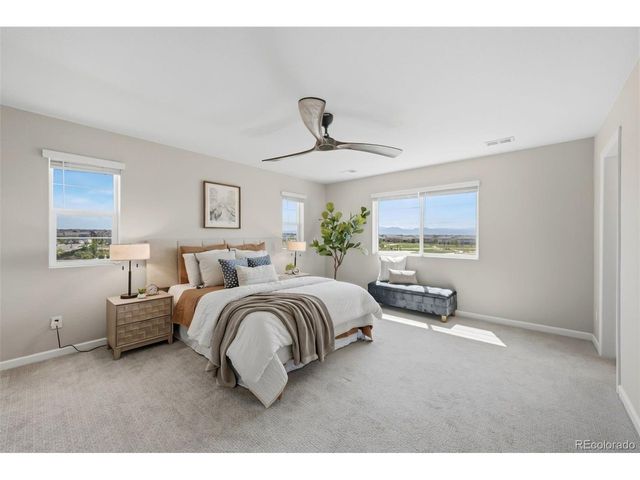 698 Alpine Ridge St, Erie, CO 80516