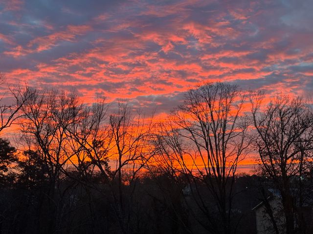 828 Cranes Camp Trail, Chattanooga, TN 37415