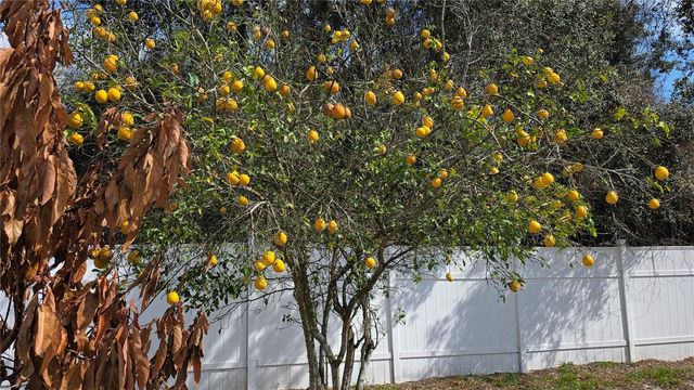 1699 LANDFAIR AVENUE, Deltona, FL 32738