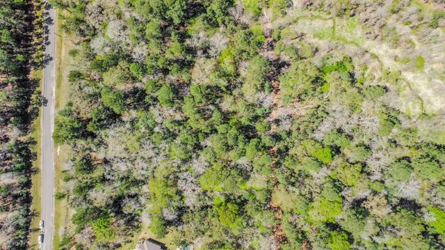 4B-6-207 Sundog Road, Huntsville, TX 77340