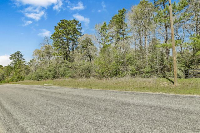 4B-6-207 Sundog Road, Huntsville, TX 77340