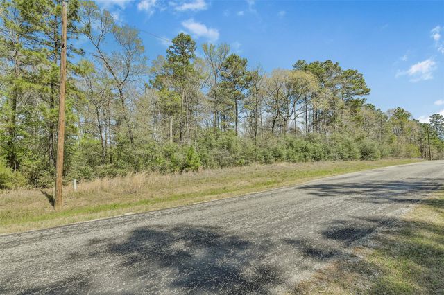4B-6-207 Sundog Road, Huntsville, TX 77340