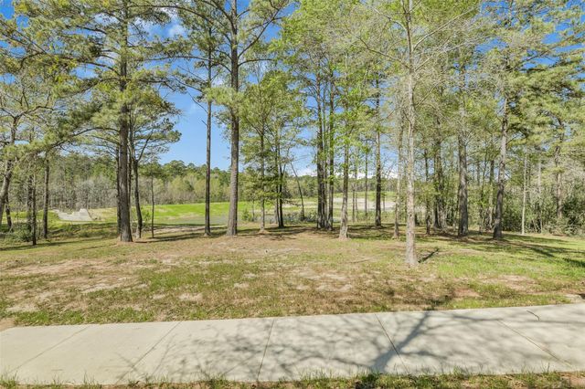 4B-6-207 Sundog Road, Huntsville, TX 77340