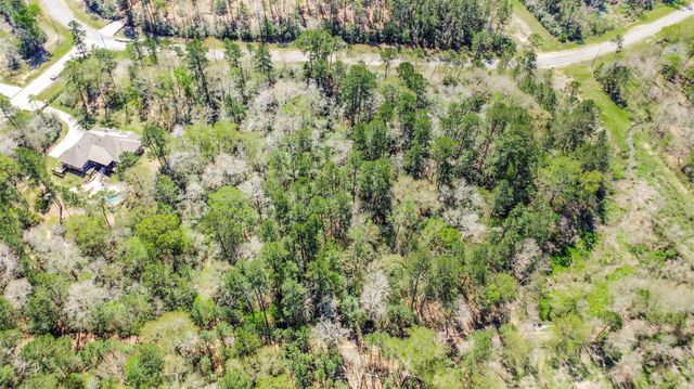 4B-6-207 Sundog Road, Huntsville, TX 77340