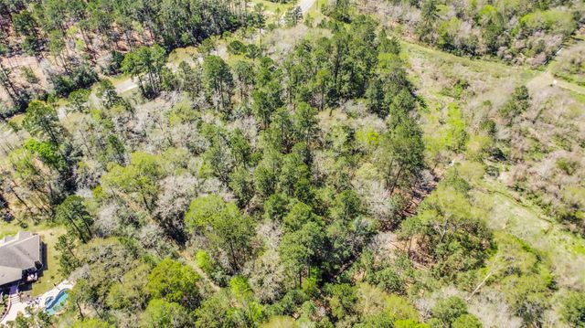 4B-6-207 Sundog Road, Huntsville, TX 77340