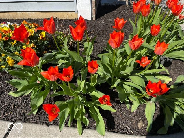 5137 Silverbell Drive, Plainfield, IN 46168