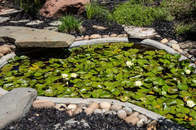 2216 Deodara Drive, Los Altos, CA 94024