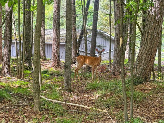 N8919 ISLAND ROAD, Phillips, WI 54555