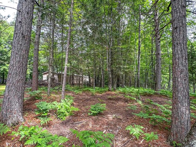 N8919 ISLAND ROAD, Phillips, WI 54555