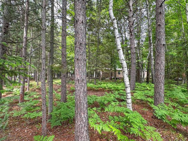 N8919 ISLAND ROAD, Phillips, WI 54555