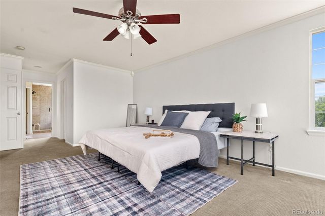 7304 E Cedar Avenue, Denver, CO 80230