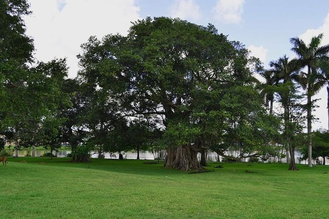 3775 SW 50th Street, Fort Lauderdale, FL 33312