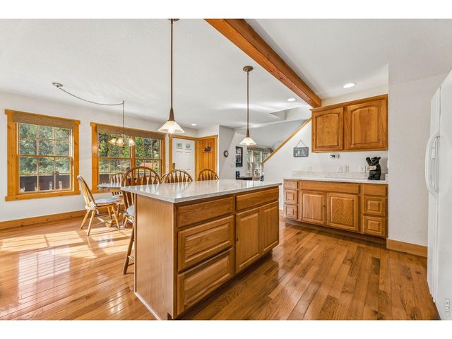 119 Berthoud Dale Ln, Drake, CO 80515