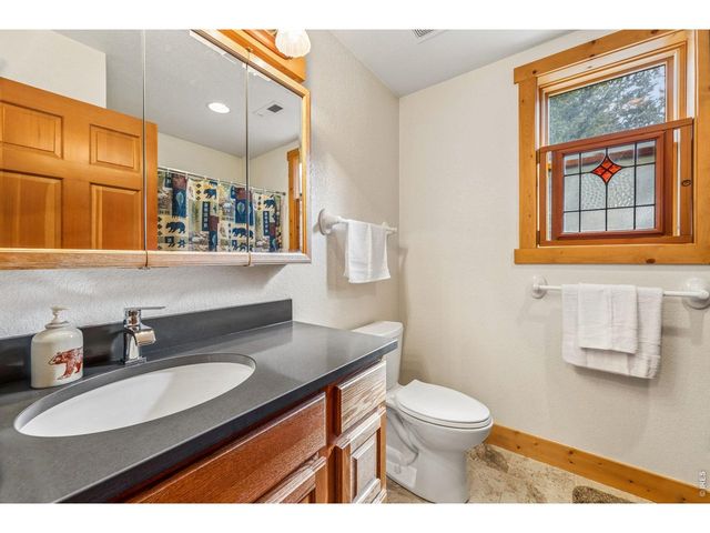 119 Berthoud Dale Ln, Drake, CO 80515
