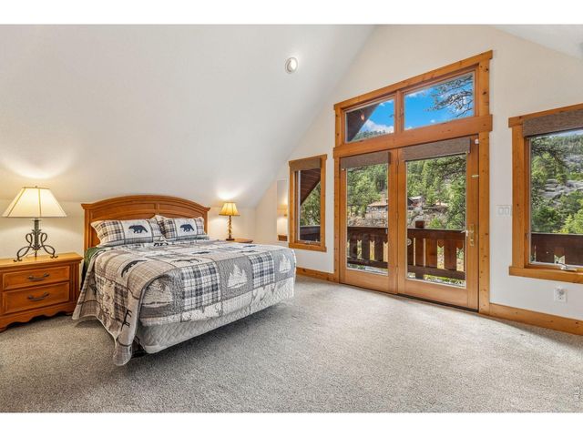 119 Berthoud Dale Ln, Drake, CO 80515