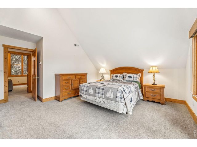 119 Berthoud Dale Ln, Drake, CO 80515