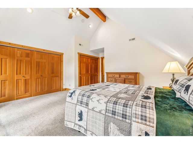 119 Berthoud Dale Ln, Drake, CO 80515