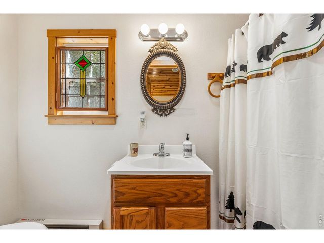 119 Berthoud Dale Ln, Drake, CO 80515