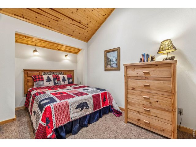 119 Berthoud Dale Ln, Drake, CO 80515
