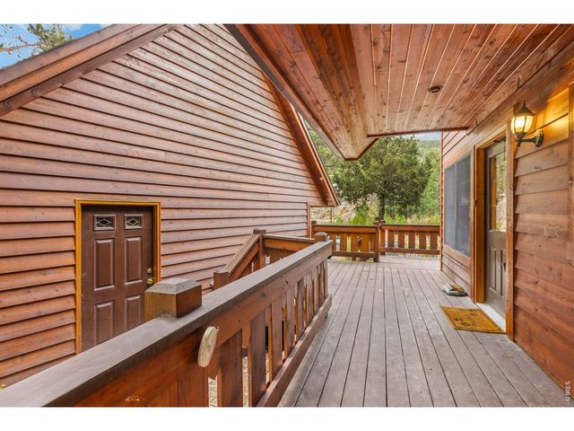119 Berthoud Dale Ln, Drake, CO 80515