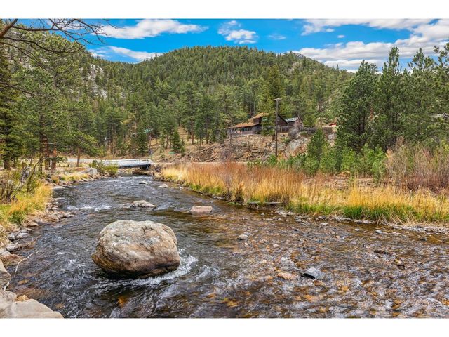 119 Berthoud Dale Ln, Drake, CO 80515