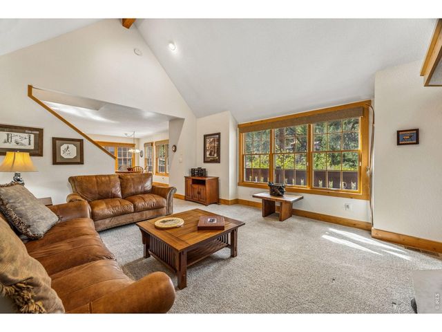 119 Berthoud Dale Ln, Drake, CO 80515
