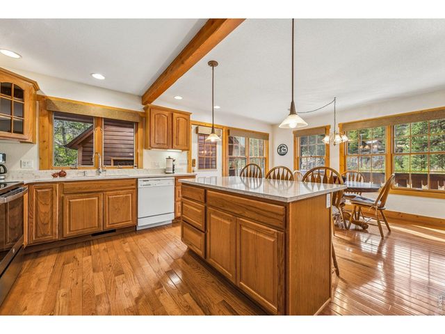 119 Berthoud Dale Ln, Drake, CO 80515