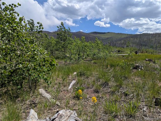 904,908,909,910 Forbes Park Rd & Ueda Pl, Fort Garland, CO 81133