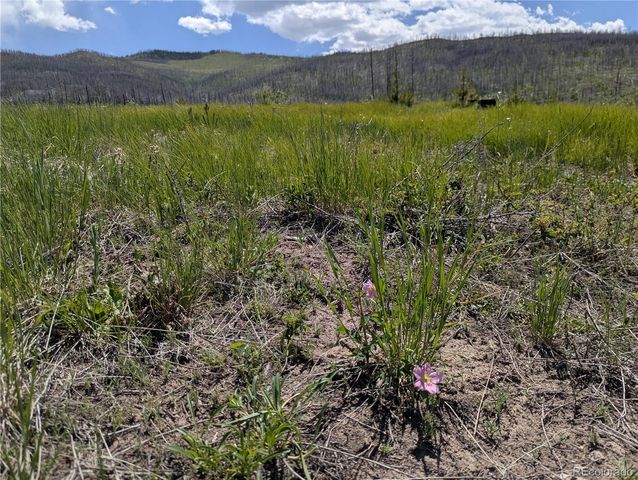 904,908,909,910 Forbes Park Rd & Ueda Pl, Fort Garland, CO 81133