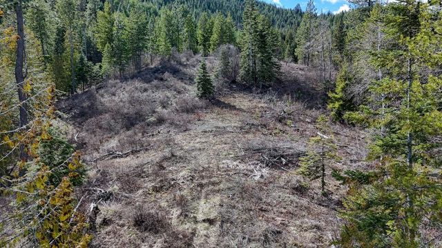 XXXX N. Cougar Ln, Newman Lake, WA 99025