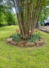 307 E Bois D Arc Street, Leonard, TX 75452