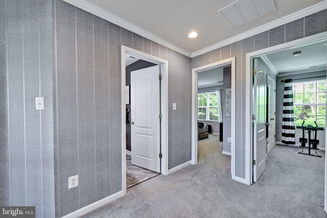 17415 MADRILLON WAY, Accokeek, MD 20607