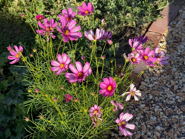 26814 S Mooney Boulevard B45, Visalia, CA 93277