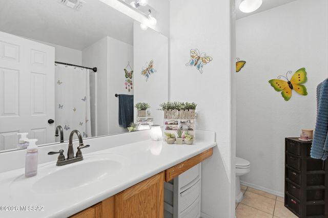 10605 E Heartleaf Willow Drive, Tucson, AZ 85747