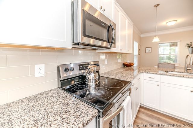 209 Tower View Lane, Sanford, NC 27330