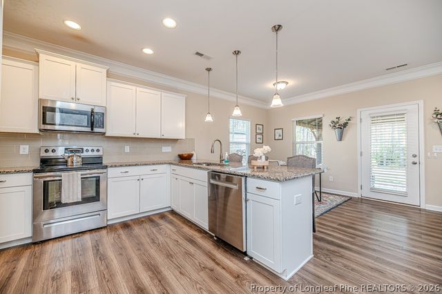 209 Tower View Lane, Sanford, NC 27330