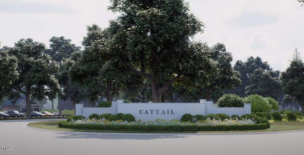 Tbdd Isabelle Valley Drive, Zebulon, NC 27597