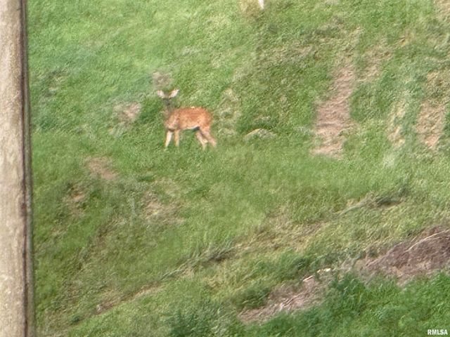 9049 Grassy Road, Marion, IL 62959