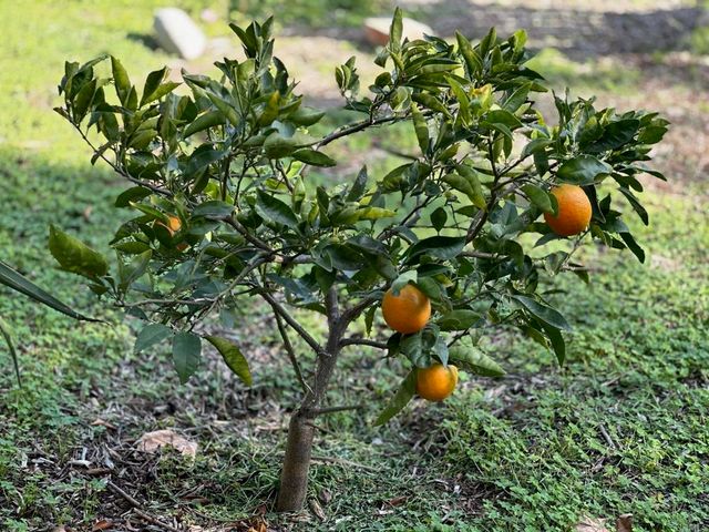 1451 Machado Street, Oceanside, CA 92054