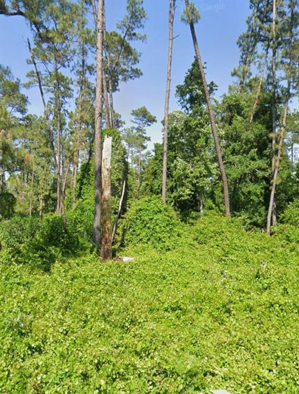 23 MALAUKA PASS, Ocklawaha, FL 32179