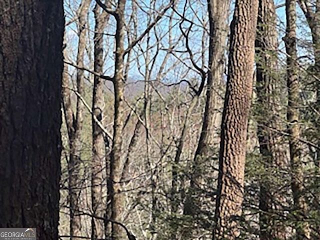LOT 14 Butler Creek Road, Cherry Log, GA 30522